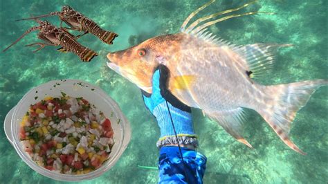 Lobstering in Florida! CATCH, Clean, COOK Lobster CEVICHE!